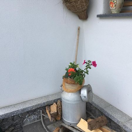 Chalets Aue هارت إم زيلرتال المظهر الخارجي الصورة